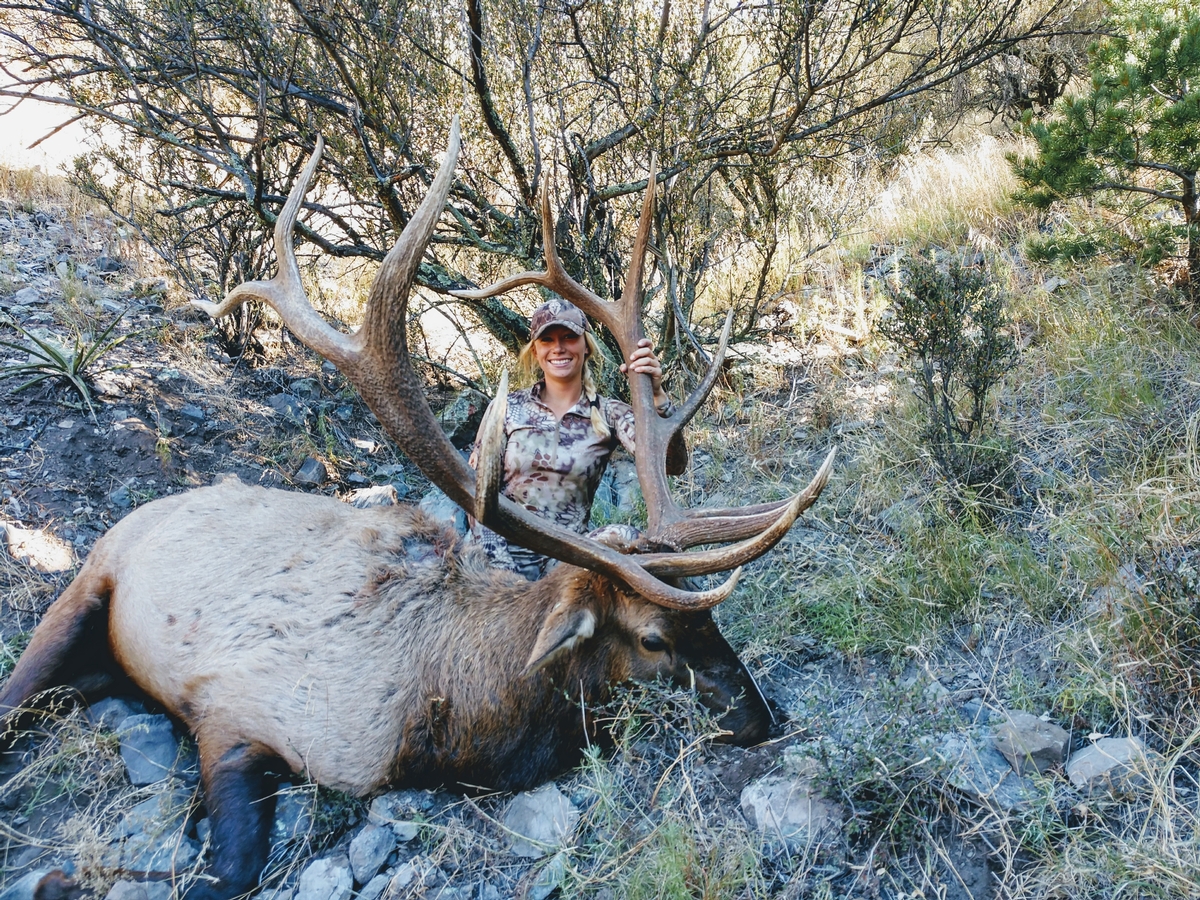 New Mexico Elk Hunting Big Rim Outfitters