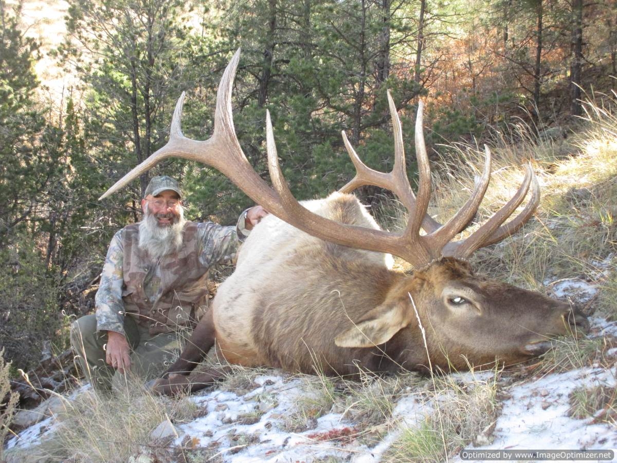New Mexico Elk Hunting Big Rim Outfitters